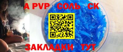 индика Камышлов