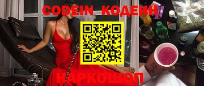 индика Камышлов