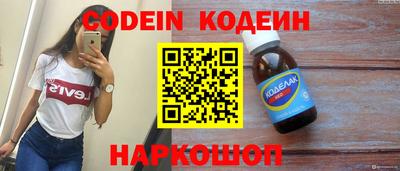 индика Камышлов