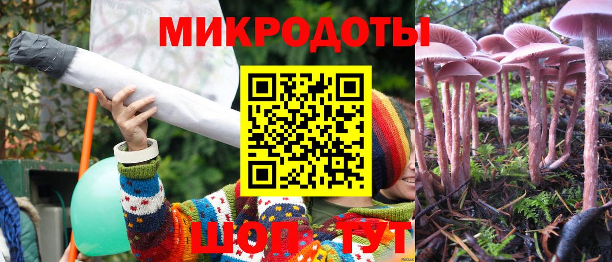 Псилоцибиновые грибы Psilocybe  Вход с VPN  Электросталь  Галлюциногенные грибы MAGIC MUSHROOMS 