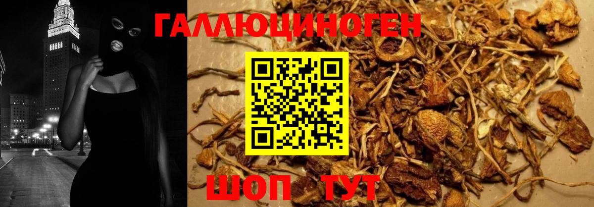 Псилоцибиновые грибы MAGIC MUSHROOMS Электросталь